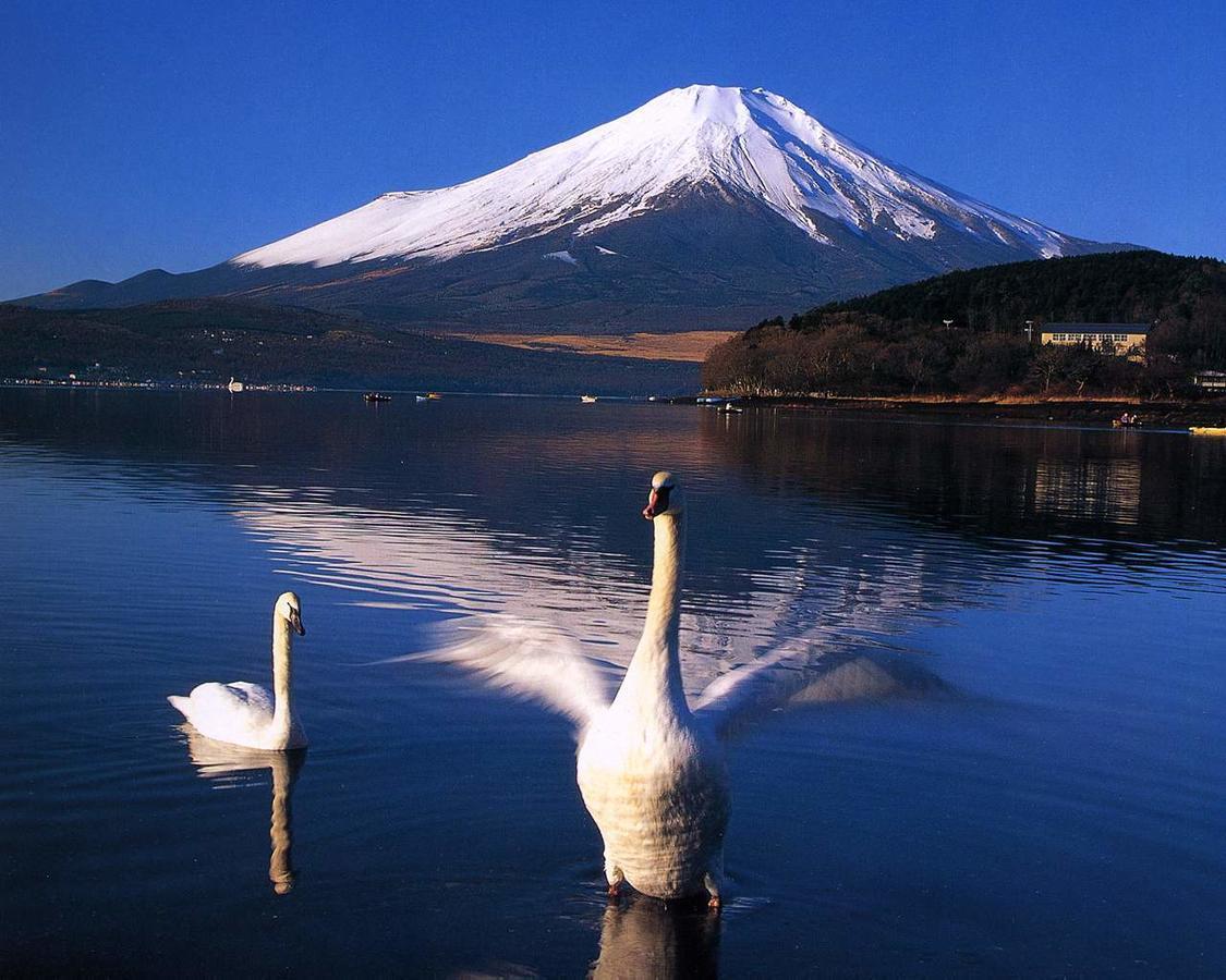 Resort Inn Golf Gotemba (Adults Only) Εξωτερικό φωτογραφία